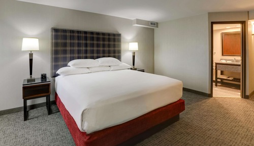 Room, 1 King Bed (Oversized)