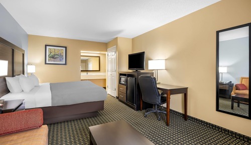 Room, 1 King Bed, Non Smoking