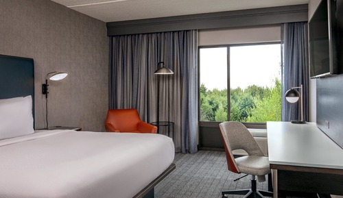 Room, 1 King Bed (Mobility Accessible, Tub)