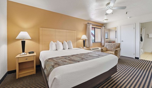 Standard Room, 1 King Bed, Non Smoking, Kitchenette, Refrigerator & Microwave