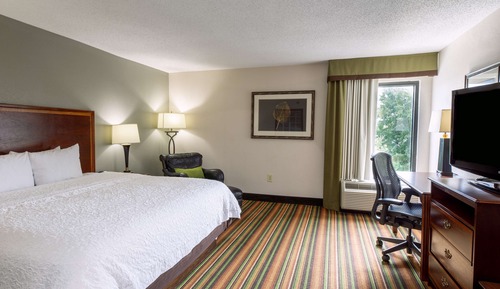 Studio Suite, 1 King Bed, Non Smoking