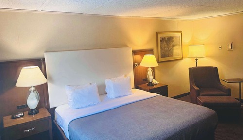 Room, 1 King Bed, Accessible, Non Smoking