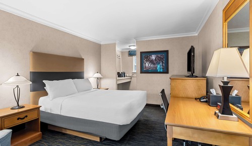 Standard Room, 1 Queen Bed, Accessible, Bathtub