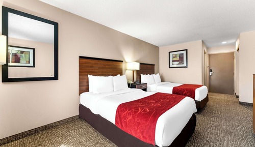 Standard Room, 2 Double Beds, Non Smoking, Refrigerator & Microwave