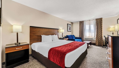 Standard Room, 1 King Bed, Non Smoking, Refrigerator & Microwave (with Sofabed)