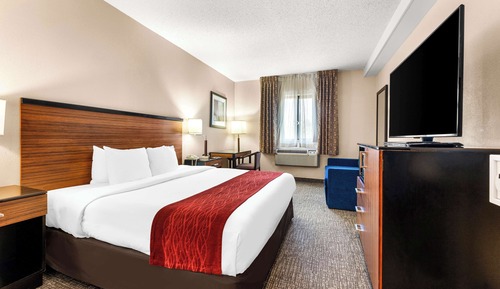 Standard Room, 1 King Bed, Accessible, Refrigerator & Microwave (with Sofabed)