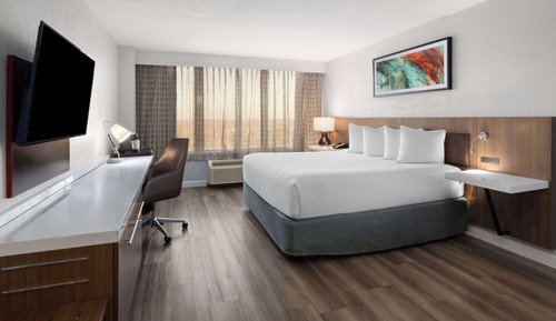Room, 1 King Bed, Non Smoking