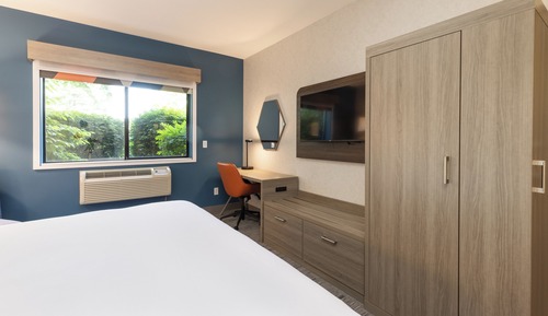 Standard Room, 1 Queen Bed, Roll-in Shower (Communications Accessible)