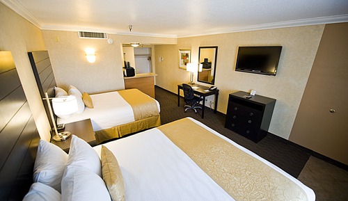 Premium Room, Non Smoking