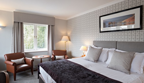 Double or Twin Room (Willow)