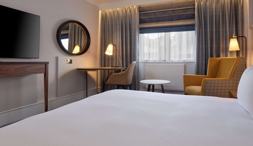 Room, 1 King Bed, Accessible