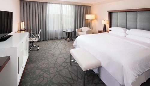 Room, 1 King Bed (Mobility Accessible, Roll-In Shower)