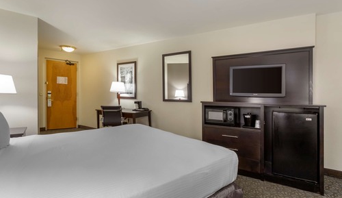 Standard Room, 1 King Bed, Non Smoking, Refrigerator & Microwave