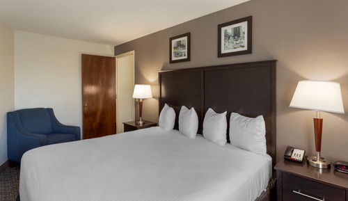 Suite, 1 King Bed, Non Smoking, Refrigerator & Microwave (with Sofabed)