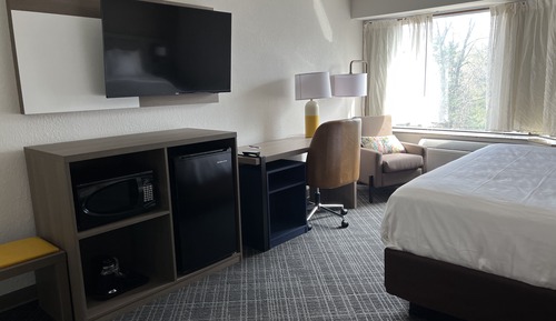Suite, 1 King Bed with Sofa bed, Non Smoking (Upgrade)