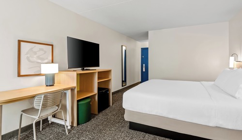 Room, 1 King Bed
