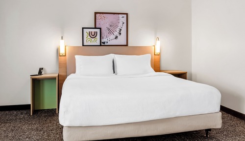 Room, 1 King Bed with Sofa bed, Accessible, Bathtub (Mobility)