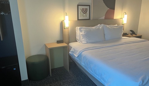 Room, 1 King Bed, Accessible (Roll-In Shower)