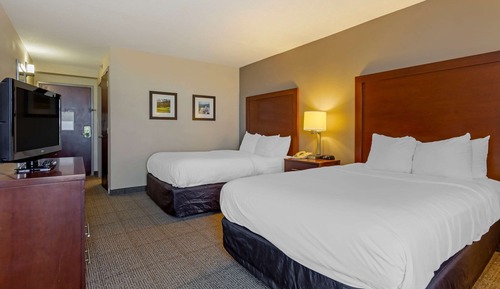 Standard Double Room, 2 Double Beds, Non Smoking