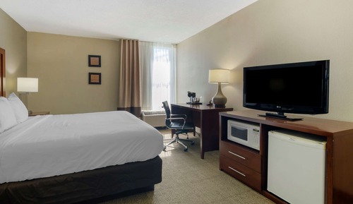 Room, 1 King Bed, Non Smoking