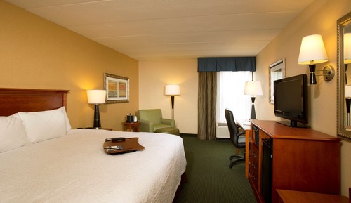 Room, 1 King Bed, Accessible, Non Smoking