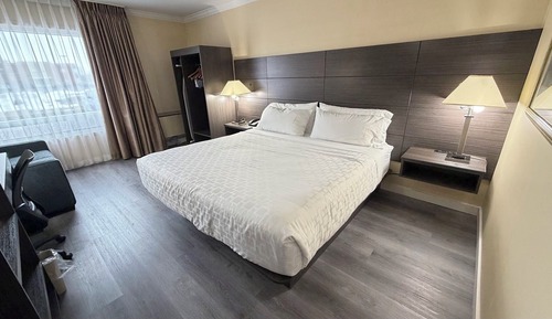Standard Room, 1 King Bed, Non Smoking