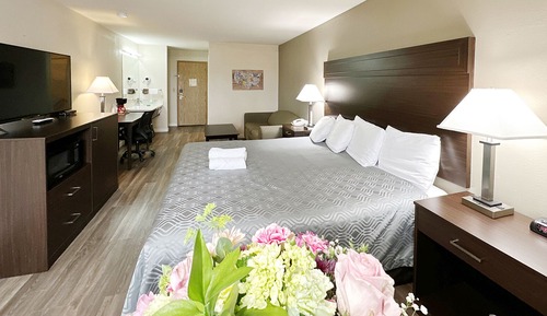 Comfort Single Room