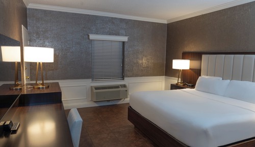 Room, 1 King Bed (Pet)