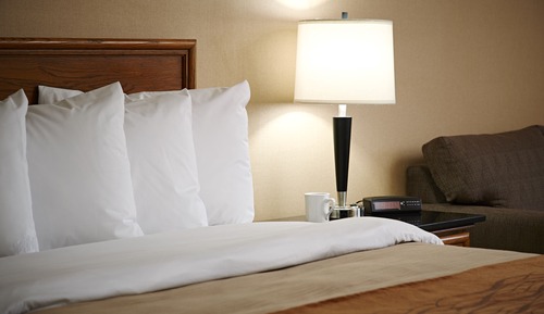 Deluxe Room, 1 Queen Bed, Refrigerator & Microwave, Ground Floor