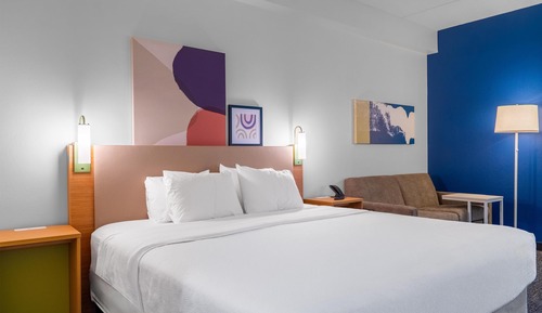 Room, 1 King Bed with Sofa bed