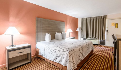 Room, 1 King Bed