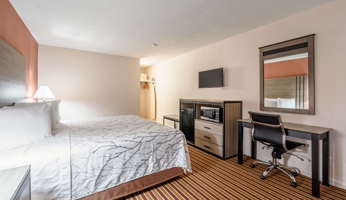 Room, 1 King Bed, Non Smoking