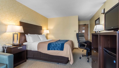 Comfort Care, Standard Room, 1 Queen Bed with Sofa bed, Non Smoking