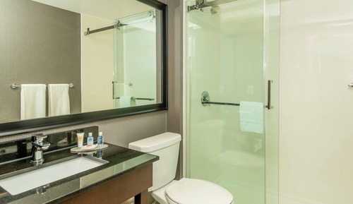 Room, 1 King Bed, Non Smoking (Pet Friendly)