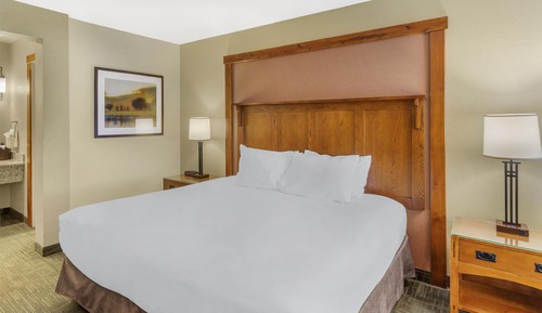 Standard Room, 1 King Bed, Non Smoking, Refrigerator & Microwave