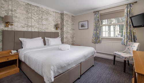 Superior Double or Twin Room