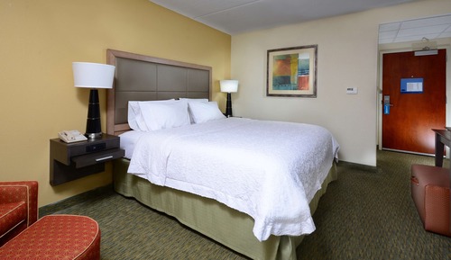 Room, 1 King Bed, Accessible, Non Smoking (Roll-In Shower)