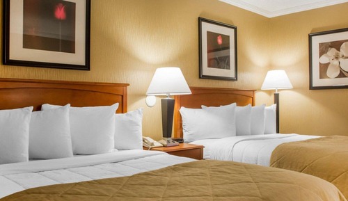 Standard Room, 2 Queen Beds, Non Smoking (Pet Friendly)