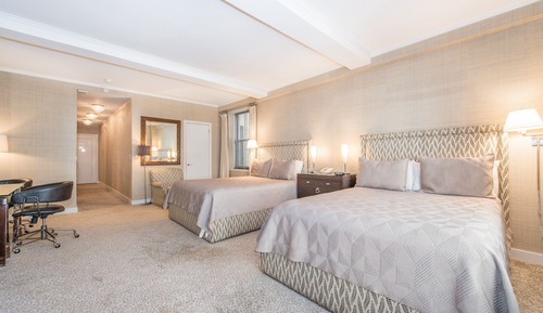Studio, 2 Queen Beds