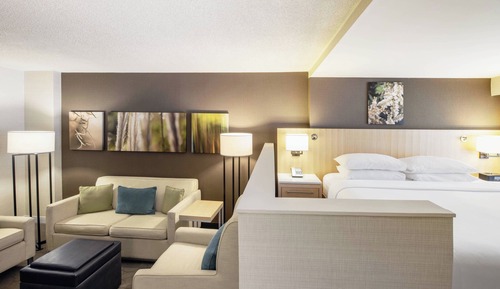 Room, 1 King Bed with Sofa bed