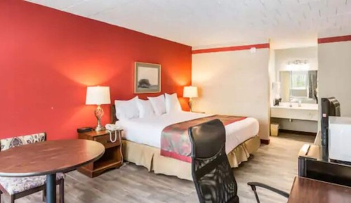 Standard Room, 1 King Bed (King Non Smoking Room)