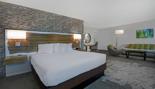 Junior Suite, 1 King Bed, Accessible