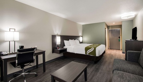 Standard Room, 1 King Bed with Sofa bed, Non Smoking