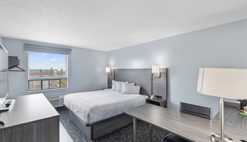 Standard Room, 1 King Bed, Non Smoking