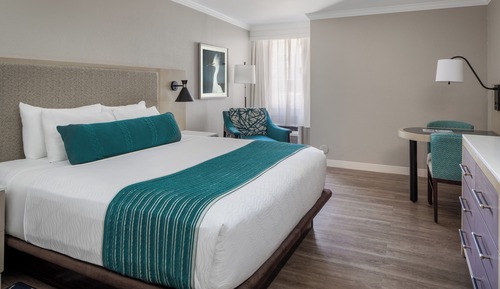 Room, 1 King Bed (Standard View)