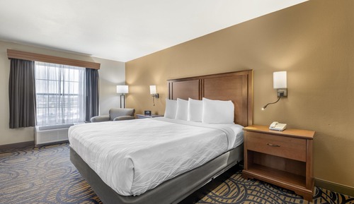 Standard Room, 1 King Bed, Non Smoking, Refrigerator & Microwave