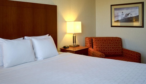 Room, 1 King Bed