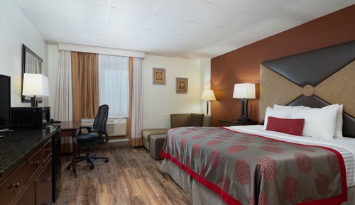 Room, 1 King Bed, Non Smoking