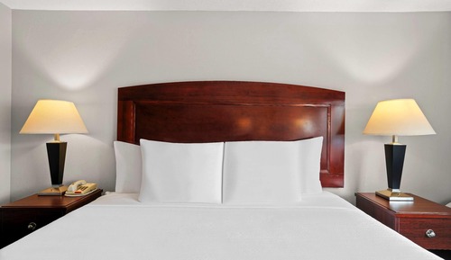 Room, 1 King Bed, Accessible, Non Smoking (Roll-In Shower)