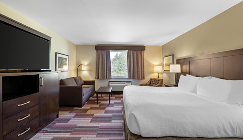 Standard Room, 1 King Bed, Non Smoking, Refrigerator & Microwave (with Sofabed)